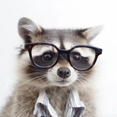 🦝 энергия ЕНОТа | секреты личной эффективности