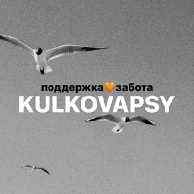 Kulkovapsy🧡 Поддержка&забота