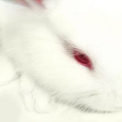 .mäet