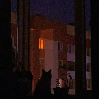 Тëма