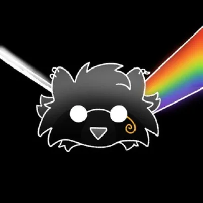 ✨🦝PROG-CIONE 🦝✨