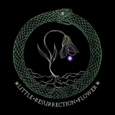 ✨🥀𝔏𝔦𝔱𝔱𝔩𝔢 ℜ𝔢𝔰𝔲𝔯𝔯𝔢𝔠𝔱𝔦𝔬𝔫 𝔉𝔩𝔬𝔴𝔢𝔯🥀✨
