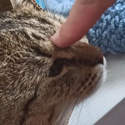 рецептики ❤️