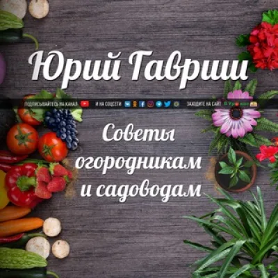 Дача. Сад. Огород: Полезные советы по дому и участку