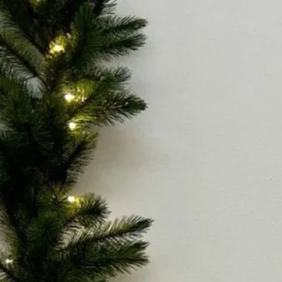 ❄️