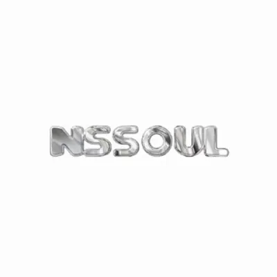 N.S.SOUL / Н.С.ДУША