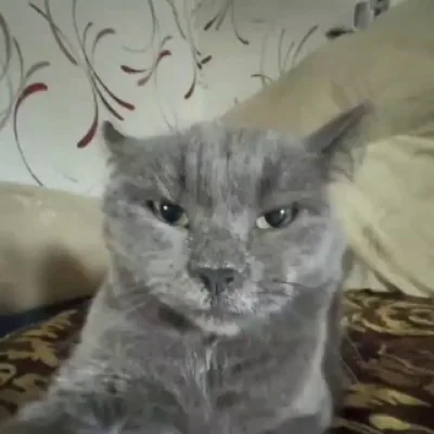Никита