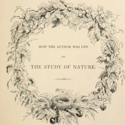 De Natura - Biological Illustrations