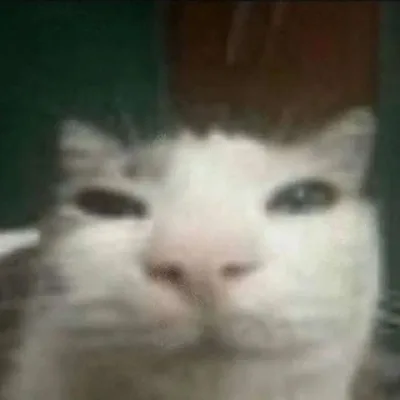 ︎