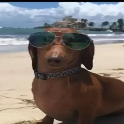 Winston