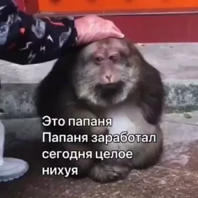 Жан Де Залупльён