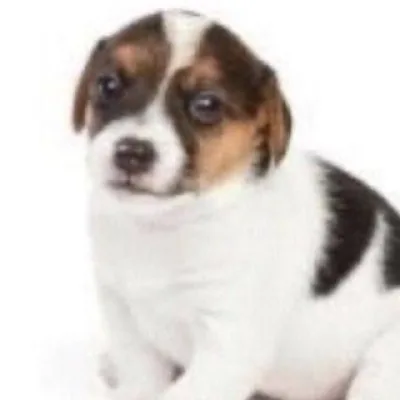 А