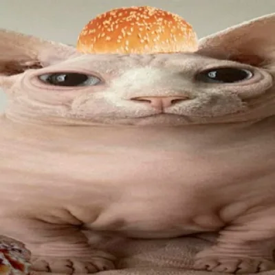 𝙎𝙩𝙖𝙏𝙞𝙘