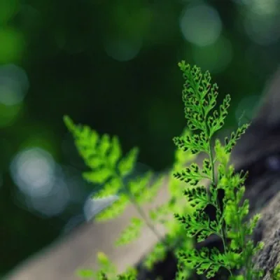 Жизнь без химии — это просто🌿