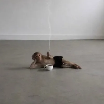 Lolita Sheydlin