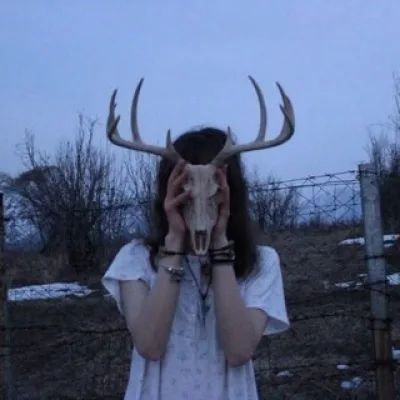 sɪɢɴᴏVɪᴛᴀ