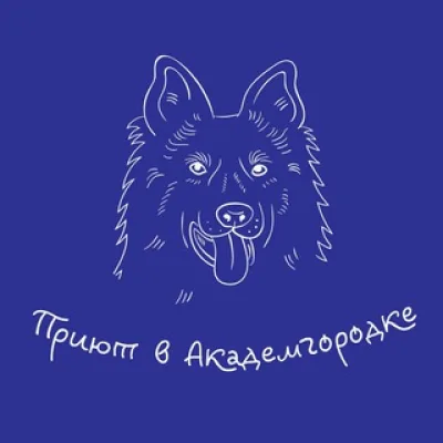 Приют Академгородка