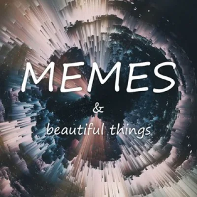MEMES & beautiful things