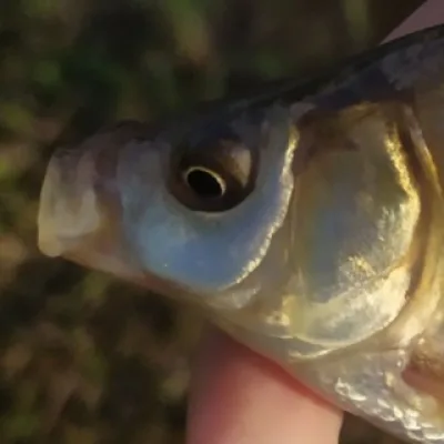 Рыбалка 🐟