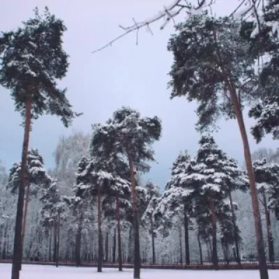 Зелёная Преображенка